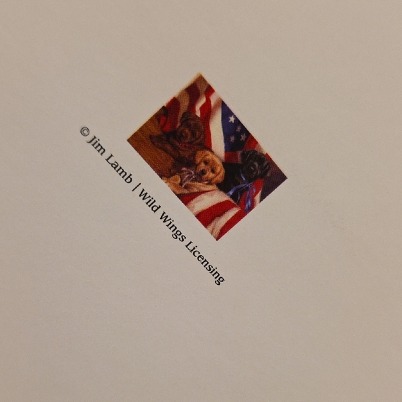 (J39) Assorted Blank Cards (39 Cards Total) - Picture 4 of 14